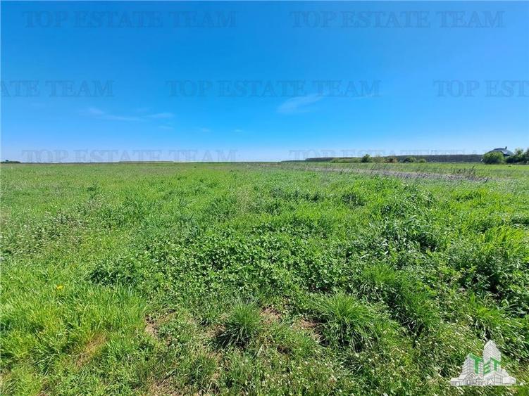 Loturi teren de vanzare Branesti/Vadu Anei - 8