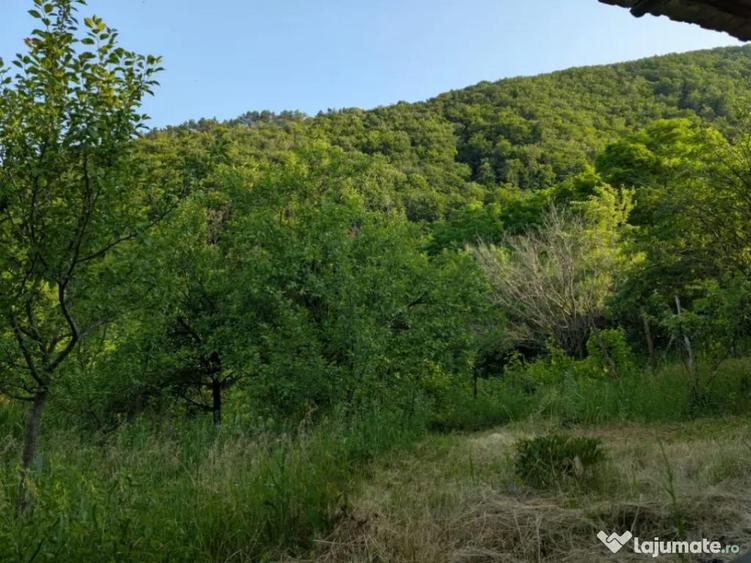 Sarata Bai- Oportunitate investi?ie- 4038 mp- priveli?te - 9