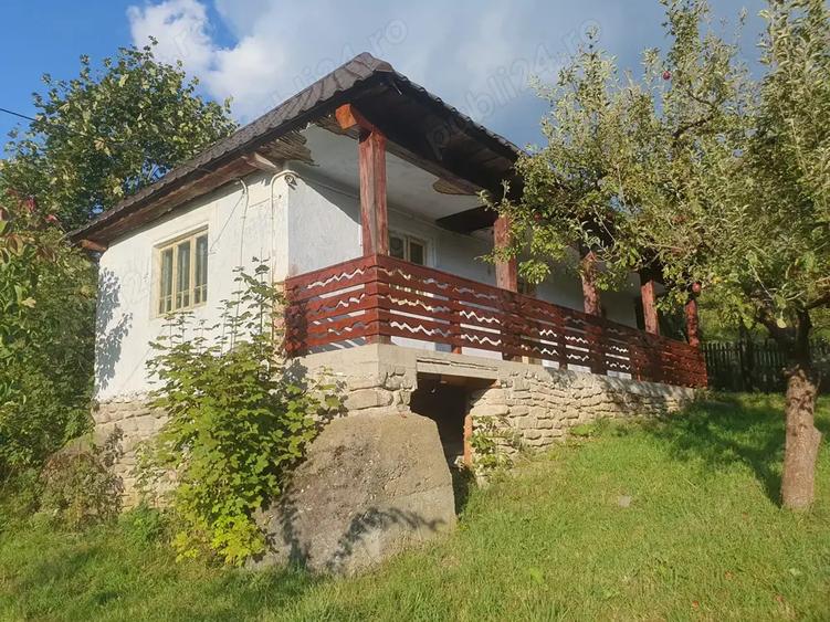 Casa 64 mp util, 2 camere + hol mare refacut, 4.100 mp intravilan - 8