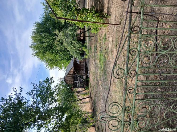 casa la tara sat Silistea com Vitanesti - 3
