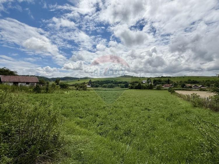 Teren 3200 mp I intravilan I Certificat Urbanism I Aschileu Mic - 3