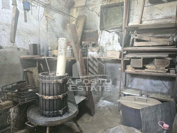 Casa cu teren in localitatea Simand - 12