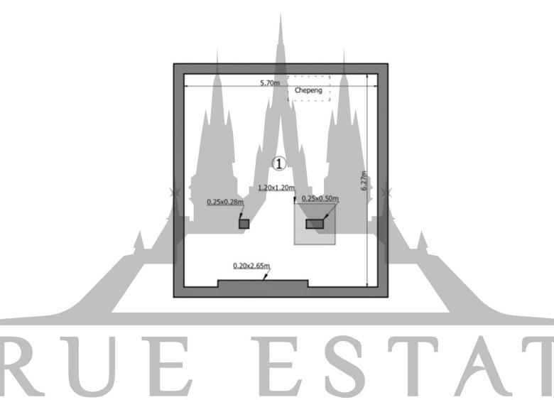 Apartament cu gradina in imobil tip vila zona Dorobanti - 13