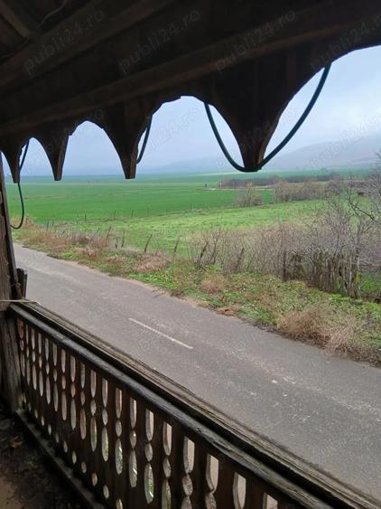 Casa Cerna, Tulcea - 4