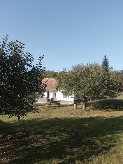 o casa rurala si teren de vanzare razoare - 8