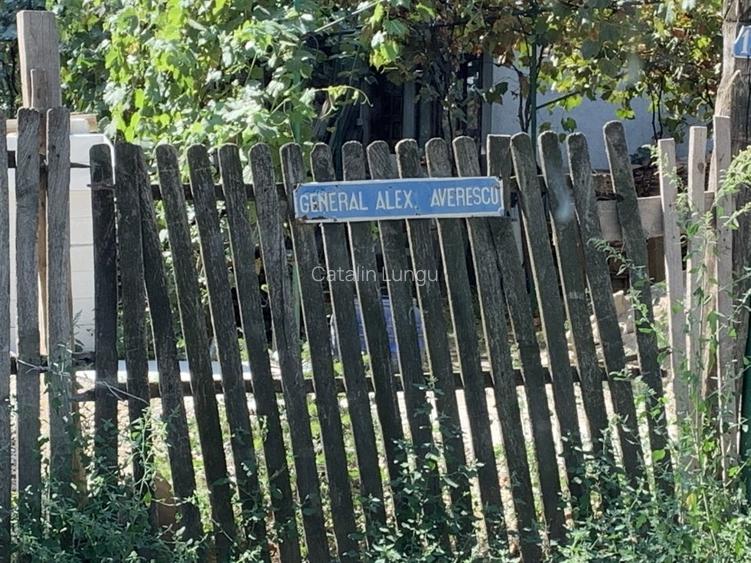 Particular Izvorani Intravilan