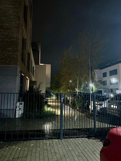 Catted Family Pipera - 3