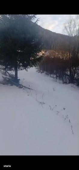 Teren langa padure 8179 mp , cu izvoare de munte - 2