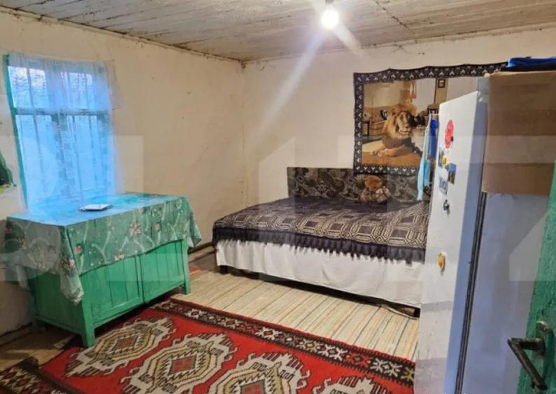 Casa rustica de vacanta (62mp) in sat Magura cu 1000mp teren - 8