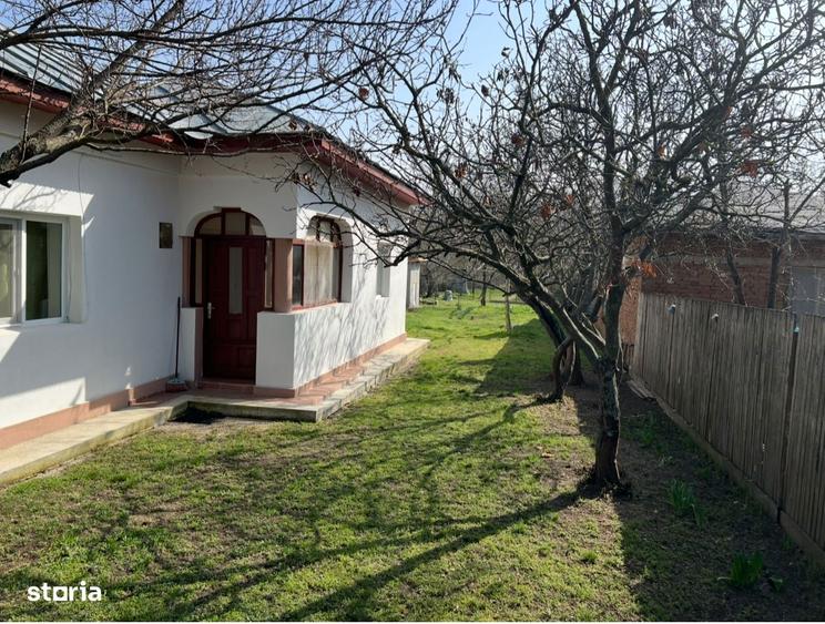 Casa Bolintin Vale Crivina - 20