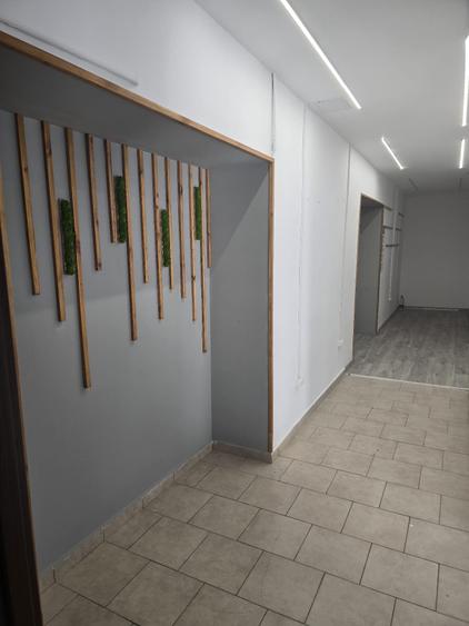 Hala depozitare sau mica productie, zona Zizinului, 400mp - 9