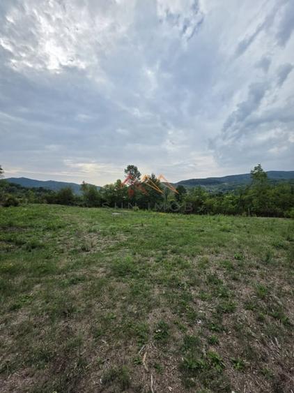 Teren Intravilan, utilitati in zona, 2600 mp, Draganeasa, Prahova - 5