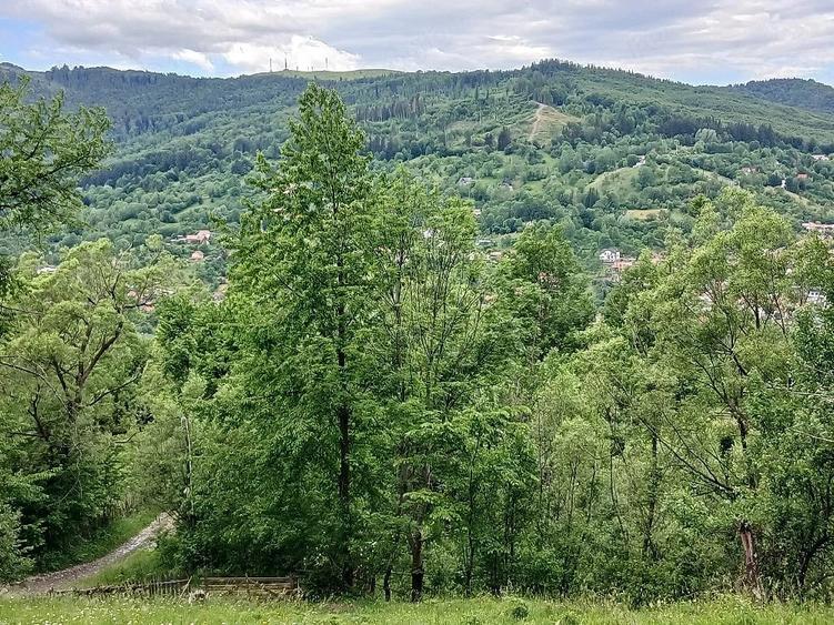 Vand Teren (Valea Doftanei) - 2