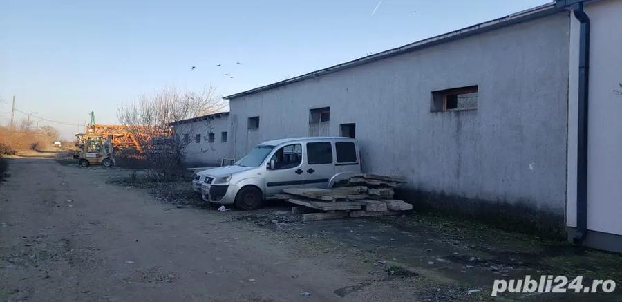 platforma de inchiriat ortisoara - 1