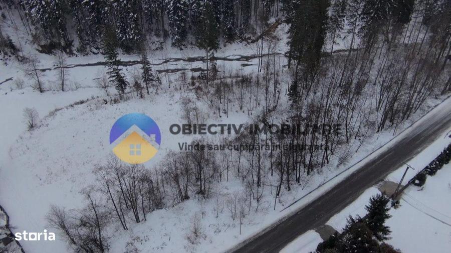 Teren 2283 mp Tarcau - 7