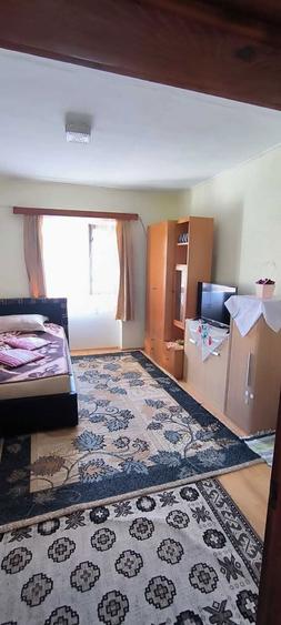 Vand Casa de vacanta - 8