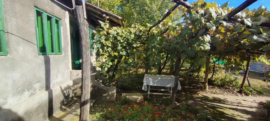 Casa de vanzare in ilovat, mehedinti - 5