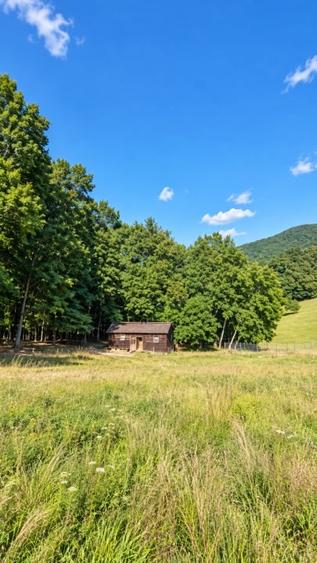 Teren extravilan de 17000 mp, în Prejmer