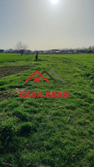 Teren agricol extravilan de 5000 mp, în Urleta