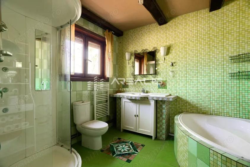 Casă cu 5 camere cu Teren 1370 Mp în Bodrogu Nou