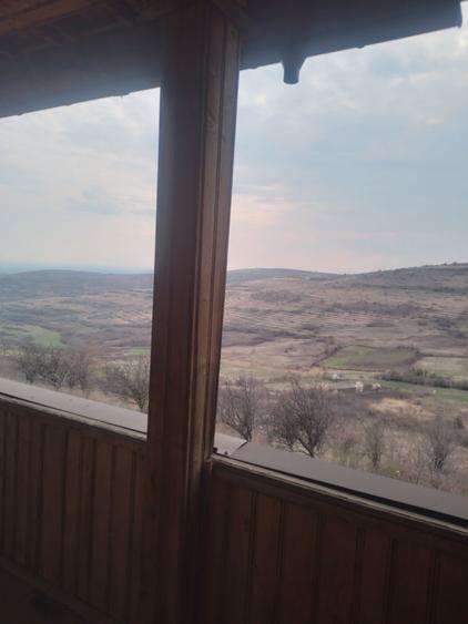 Casa de vanzare Demisol+P+1E+M,Teren 7000 mp - 3