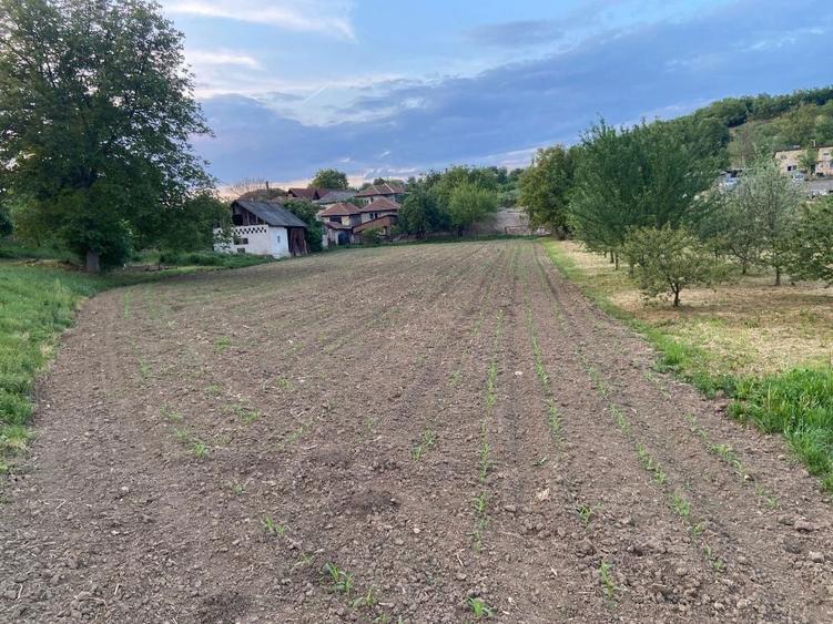 Casa de vanzare la tara, cu anexe si priveliste superba ideala pentr - 6