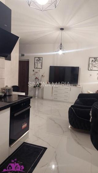 Apartament cu 2 camere semidecomandat în Paleu