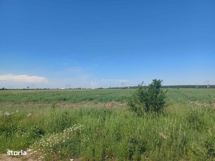 teren intravilan, 12000 mp, Ciorogarla, jud. Ilfov - 1