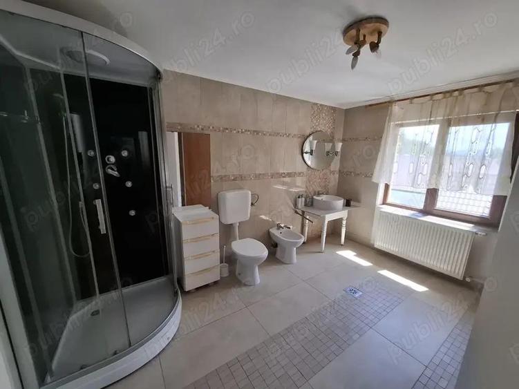 Str. Valea Rosie proprietate compusa din 2 imobile, casa P+M si una pe parter - 8