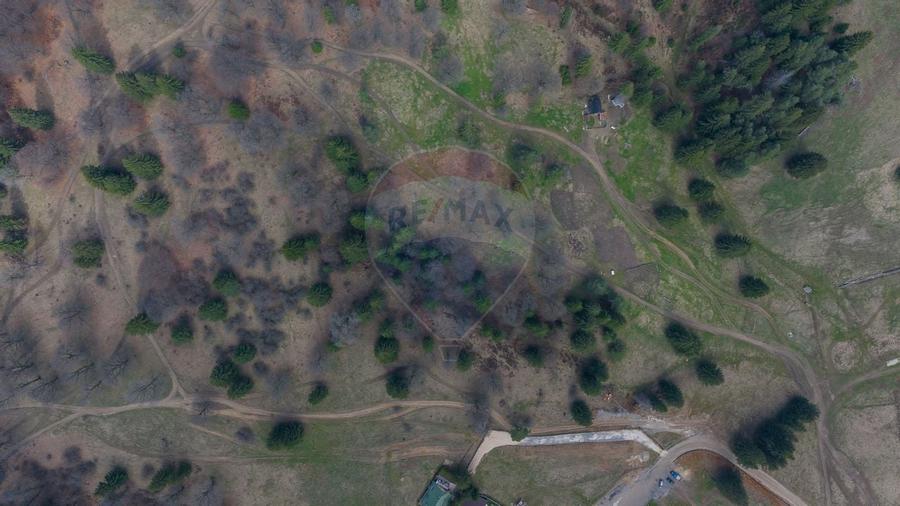 Teren Poiana Brasov, langa Stana turistica 1872mp, PUZ case/ pensiuni - 7