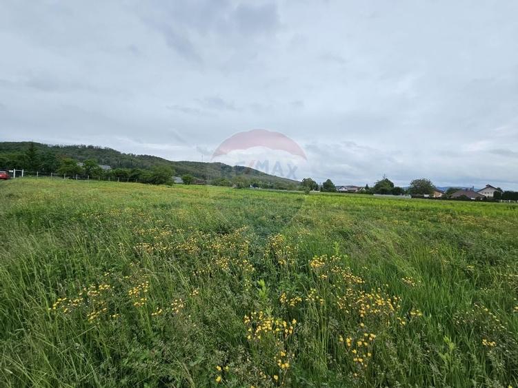 Teren 1,495mp Dobreni / Strada Parau Almas - 15