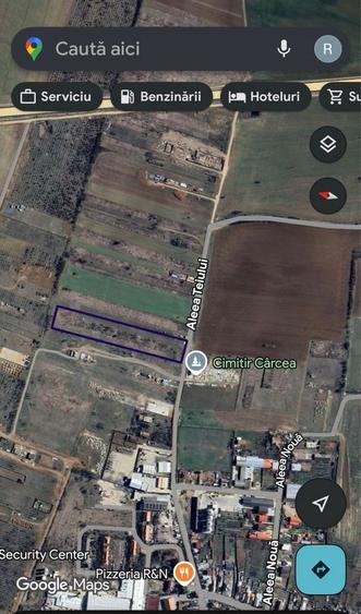 Teren Intravilan Carcea - 5