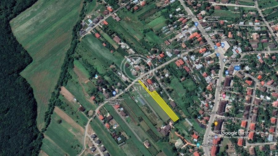 Snagov- Teren Intravilan de Vanzare - 8