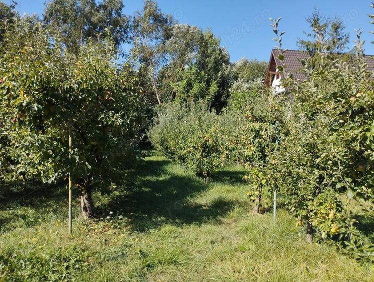 Breaza, teren 1705 mp sau lotizat, zona insorita - 4