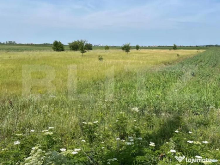 Teren extravilan, 4.994 mp, Targoviste - 2