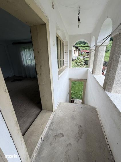 Case Parintesti, Com. Vulturesti, 3600 mp, zona superba - 8