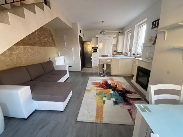 Cochet la intrare in Dumbravita - 1