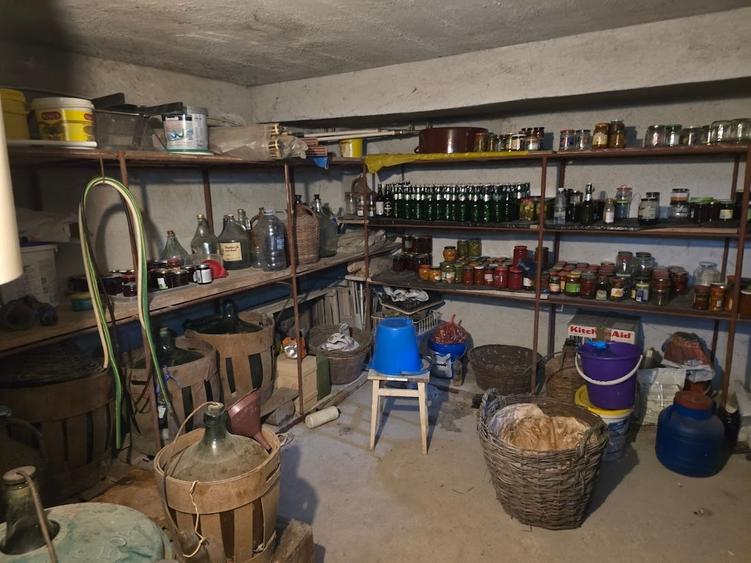 Magurele/Darasti-Ilfov/Vila individula cu crama,garaj,foisor,livada si solar - 18