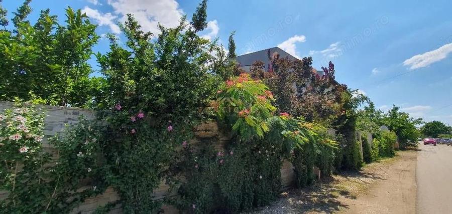 Proprietate fenomenala! 4 Camere, 3 Bai, Comuna Berceni - 4