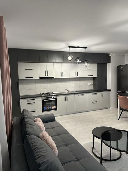 Apartament 2 camere de inchiriat cartier Maurer - 1