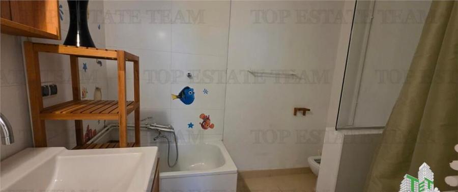 Casa individuala de zona Domenii - 11