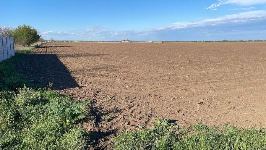 Teren intravilan Dascalu 18.000 m2 - 3