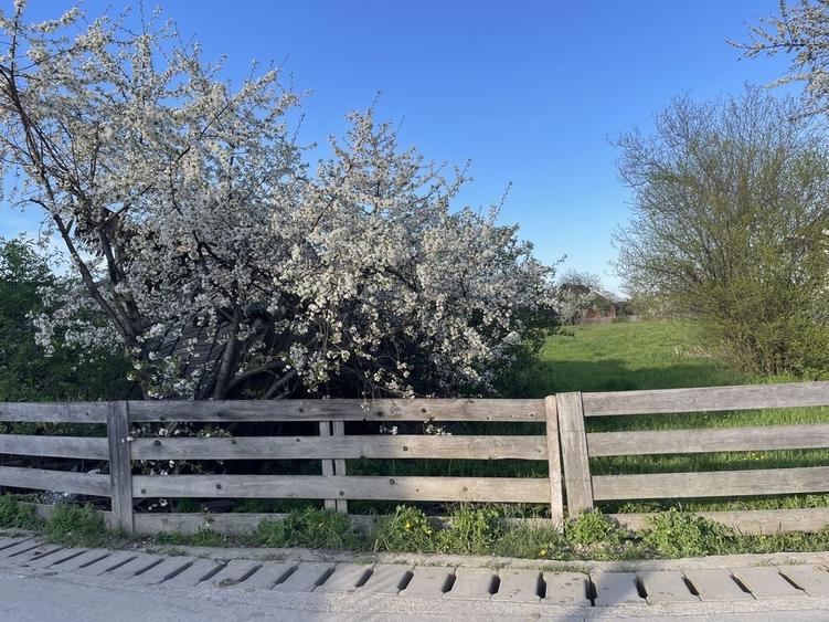 Teren de vanzare Vicovu de jos - 2