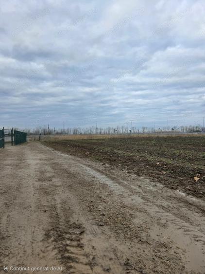 Teren la intrare in Biharia - 1