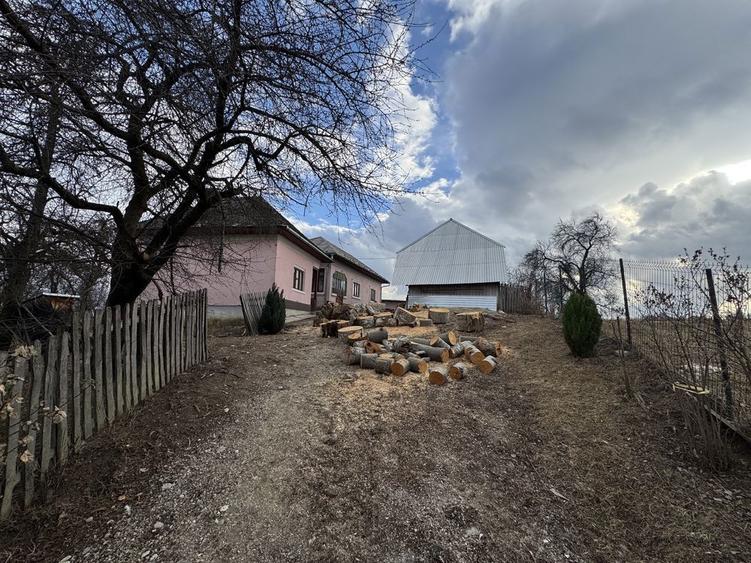 Vand case si teren Comuna Nucsoara Judetul Arges - 6