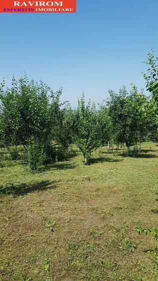 Sarata, Dealu Nou, teren 2800mp - 5