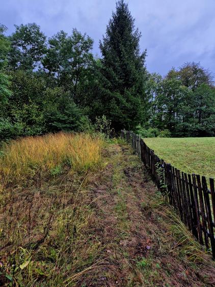 Comision 0%, teren extravilan 12497 mp Sinca Noua - 12