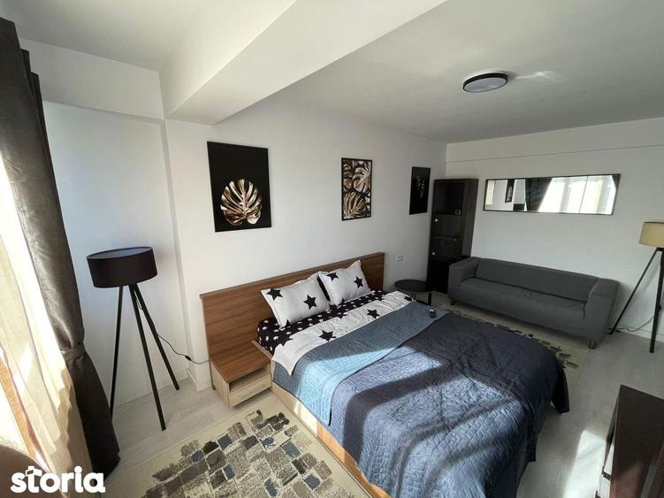Apartament cu 1 camera Visan - 3