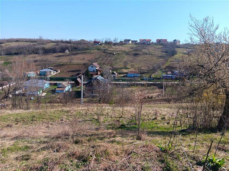 OCAZIE! Vorovesti Teren 83000mp intrav. si extrav. cu utilitati - 8