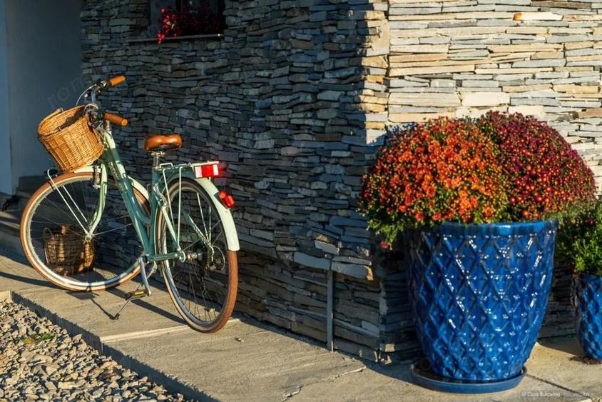 CASA DE ODIHNA PENTRU TINE SI AI TAI MU?TERII - 8